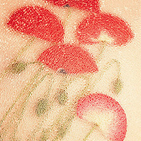 ������װ�λ�