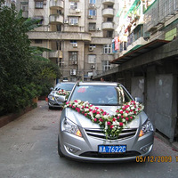 12.5�鳵�㱨��