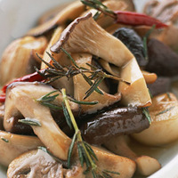 ��ģ����ô���Ŷ��������ĵģ�