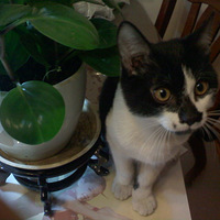 ��ݮ�����ˣ���pp