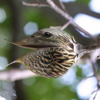 ��������㿴������(ͼ)