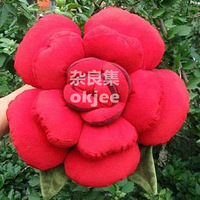 ����ռ䴫�ﴴ��