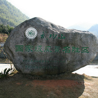 Ԫ���书ɽ��Խ