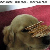 �������̫�ж�����...- -|||