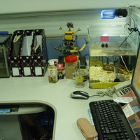 �����ع⣡OFFICE����ֻ���ü��