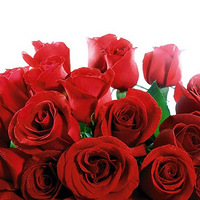 2010�����˽������Ƽ����а�~~