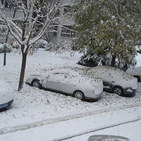 �ذ׷�ɫ����ѩ��������