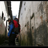 ������ظ鴬�������Ű��ζ