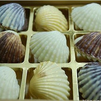 �����ɿ�������