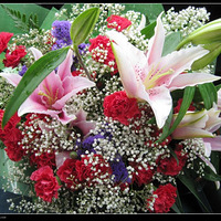 ���˽ڵ���ʳ����