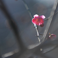 ���߱��ġ�����÷