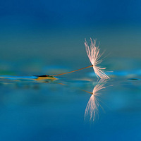 ��ͼ���ͣ���ĺ�����