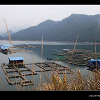 ��ζ�����Ǽ���