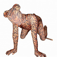 Zentai���У�װ�����������