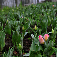 ���߱��ġ������ܴ���