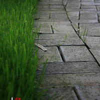 �߳�����,���ܻҵ�