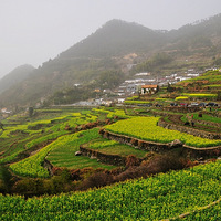 ���߱��ġ��������ļ���