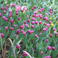 �ҵ�28����