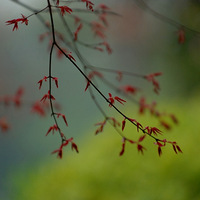 ���߱��ġ��������ɫ��