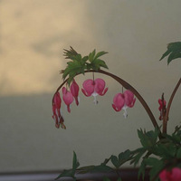 ���󻨿�---������ĵ����չ