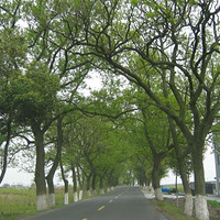 ׷ѰǮ���뺣��