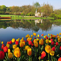 ���߱��ġ����Ҹ��񻨶�һ��