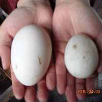 ��ô���Ѽ�����Ҹ���ô���أ������� ���� ���� �� ����