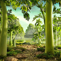 ������ۼ���߲˷羰(��ͼ)