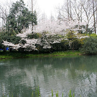 �������Լ�᡿��Լ̫����