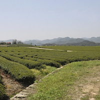 4.17��������ŵ������μ�����