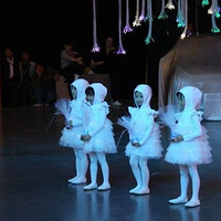 ��ɫ���Σ�~��³��WTCC���������ʵ�ģ���С����