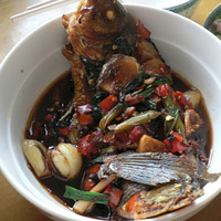 ������~~ �ڶ���