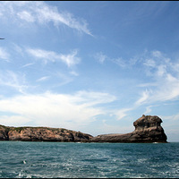 ��������6��14-16�ո�����Զ�ĺ�������̨ɽ�е���