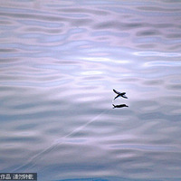 ��������Ӱʦ�����������(�����㣬��һ��)