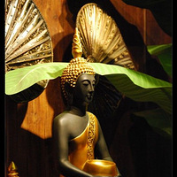 ��ĩ��ȥ������Χ��ɽ��ɣ�