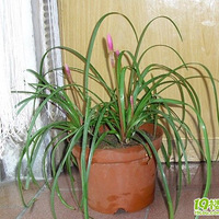 Ѱ��ʶ��֮��{�ߴ������������ĵĿ�}28������PP