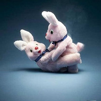 ����˹���ϼ�