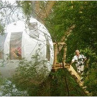 ��ӽ���Ȼ���Ͼӣ�����ʽɭ�ּ�������