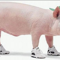 һ�������Ĳ��ҹ��£���������