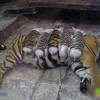 ��ɰ����·�������������С���ɾ�û��Ŷ~