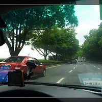 ͩ®�����ݼ٣���˵�е�޹�²�֮��