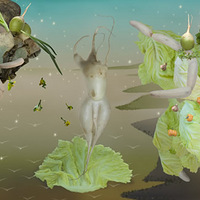 ����˼����߲�����������