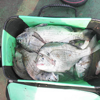 6��16�ն������Լ��ɽȥ����