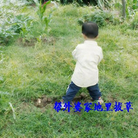 �����Ρ�ȥ�������żң��ϴ�ЩͼƬ��ҷ���һ�£�