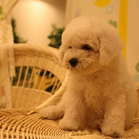 �ҵĿ�����԰���ڿ����ˣ���λ���Ѷ��ָ�̣�