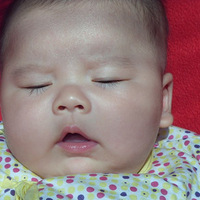 �����ҼҵĿ��ı���