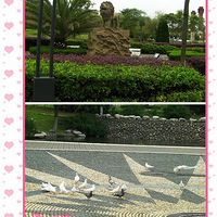 �����ѻᳵ����ɽ�Լ���