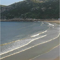 �����е�����֮�������񻶻