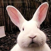 ����˰ɣ���������Ƭ�ҷ�~