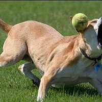 ���б���ô�������~~��ܶ�Ү��